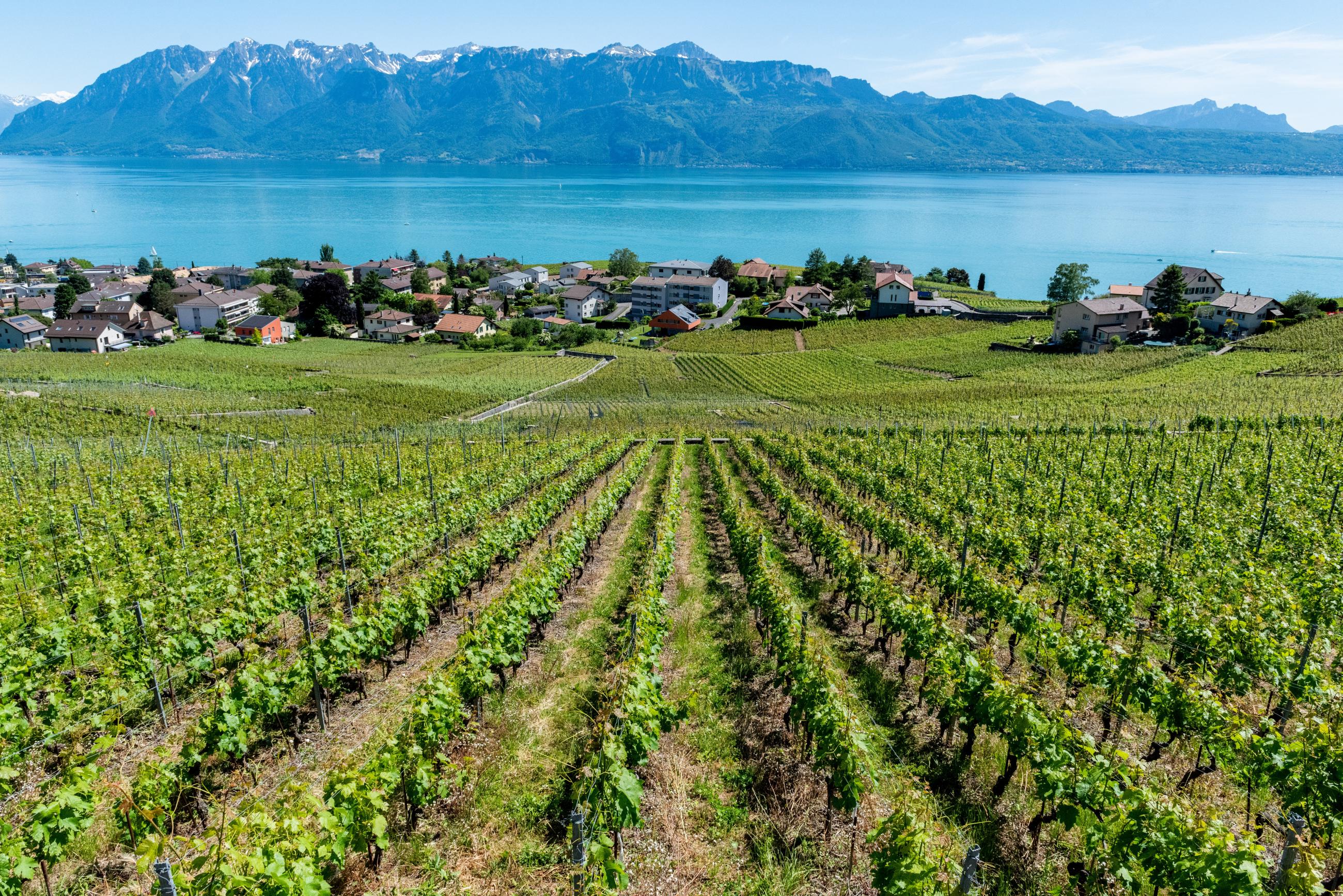 Image canton de Vaud